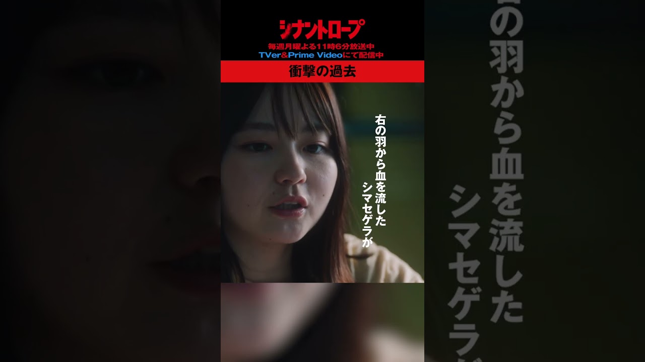 【シナントロープ】第5話 | 衝撃の過去