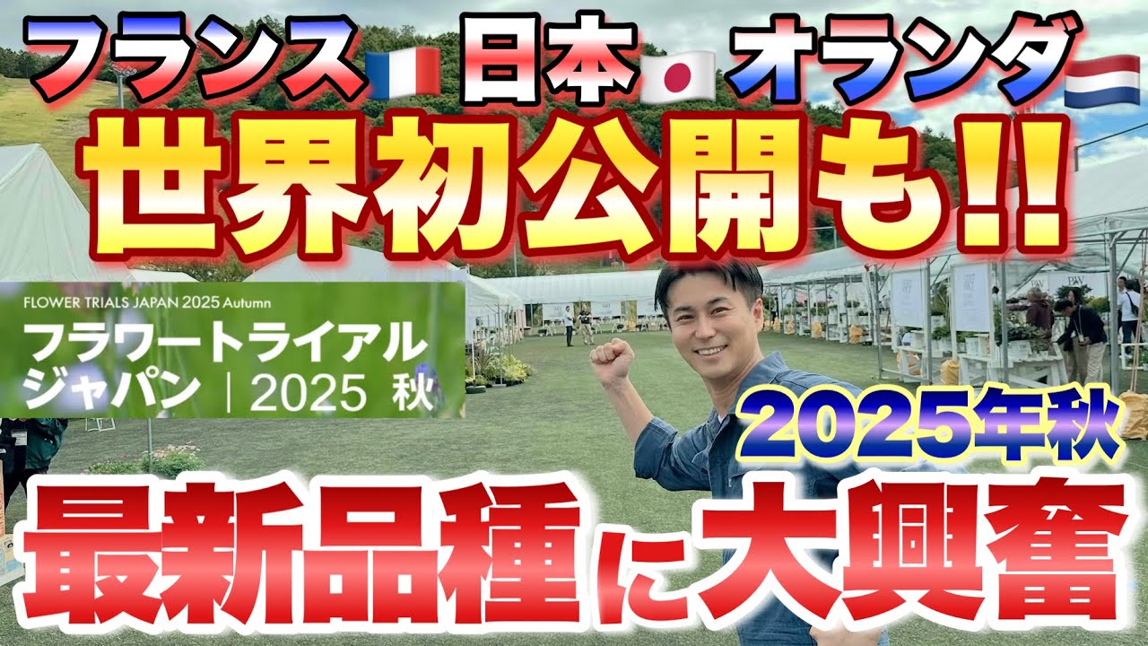 【驚きが止まらない】初公開の超最新品種が目白押し！日本、フランス、オランダ！一般公開していない「フラワートライアルジャパン2025」に公式潜入【ハクサングループ会場・H&Lプランテーション会場編】
