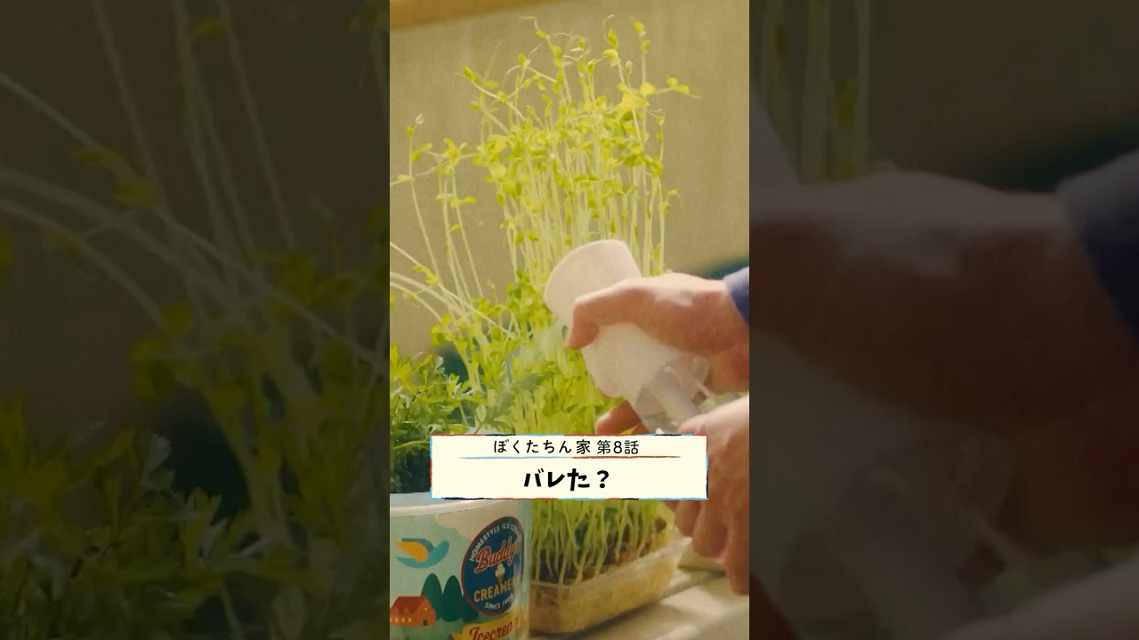 親のフリしてることがバレた！？🚓 #及川光博 #手越祐也 #白鳥玉季 #坂井真紀 #土居志央梨 #日曜ドラマ #ぼくたちん家 毎週日曜よる10時30分放送！#日テレ #shorts