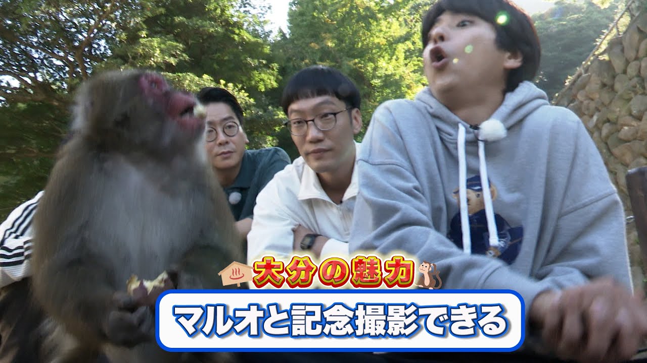 グラタングミ　大分公演 幕間映像②「高崎山」