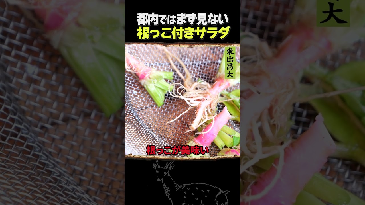 東出昌大 / ほうれん草サラダ