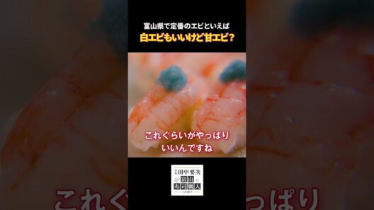 俳優 田中要次の寿司修行 白エビもいいけど甘エビ？【毎週木曜配信中】