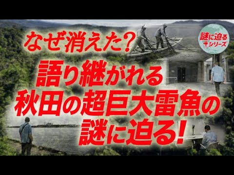 なぜ消えた？語られ続けた秋田の超巨大雷魚の謎に迫る！【謎に迫るシリーズ第四十二回】