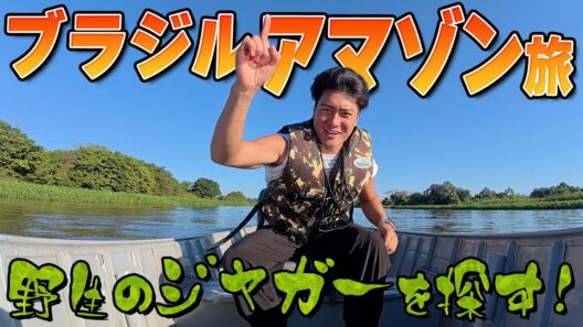 森本慎太郎【ブラジル縦断旅〜＃4】野生のジャガーを探せ!!