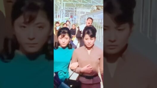 吉永小百合 和泉雅子 渡 哲也さん