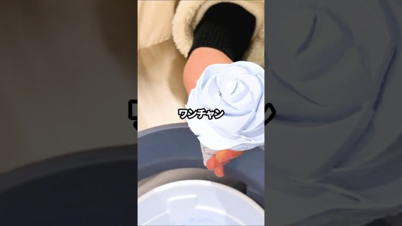 通りすがりのJK「えっ…嘘……？六角精児さんですよね！？」ワイ「違います…」