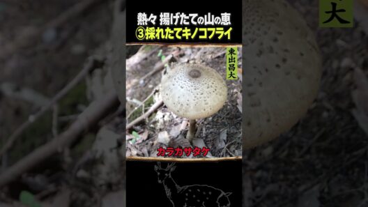 東出昌大 / 熱々揚げたて山の恵