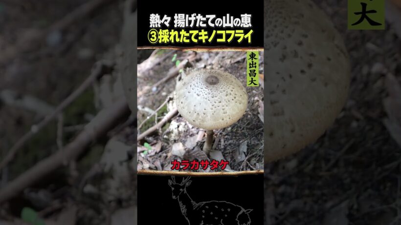 東出昌大 / 熱々揚げたて山の恵