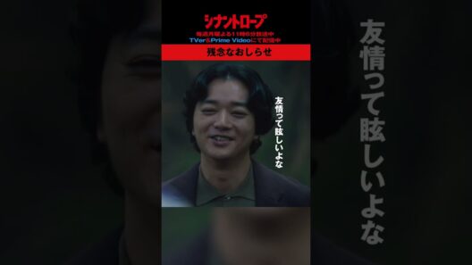 【シナントロープ】第11話 | 残念なおしらせ