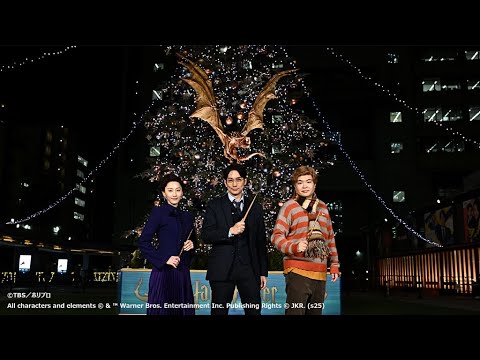 松井玲奈、ライス関町に鋭いアドバイス（「ハリー・ポッターツリー」～Chosen by the Goblet～点灯式／平岡祐太 松井玲奈 関町知弘）