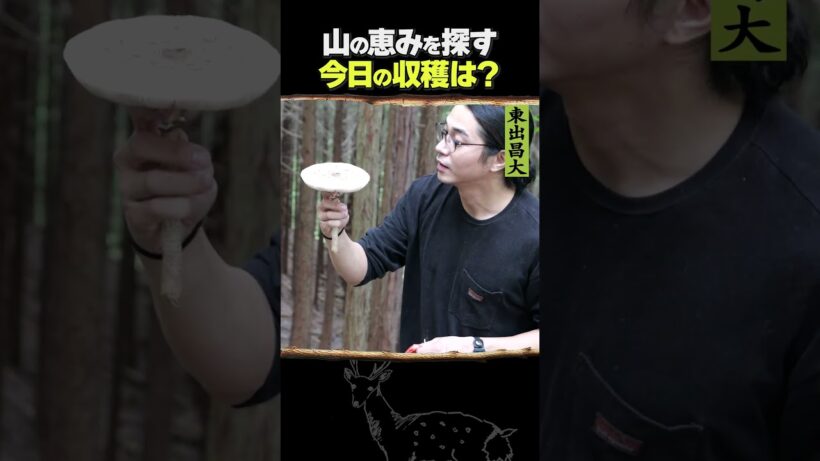東出昌大 / 山の恵みを探す
