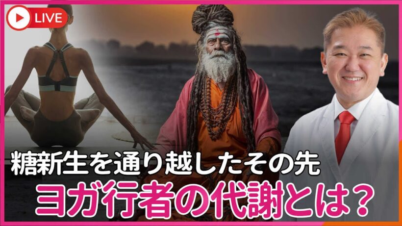 ヨガの行者のように激やせしても生きている人はどの様な代謝になっているのか？　糖新生を通り越したその先とは？