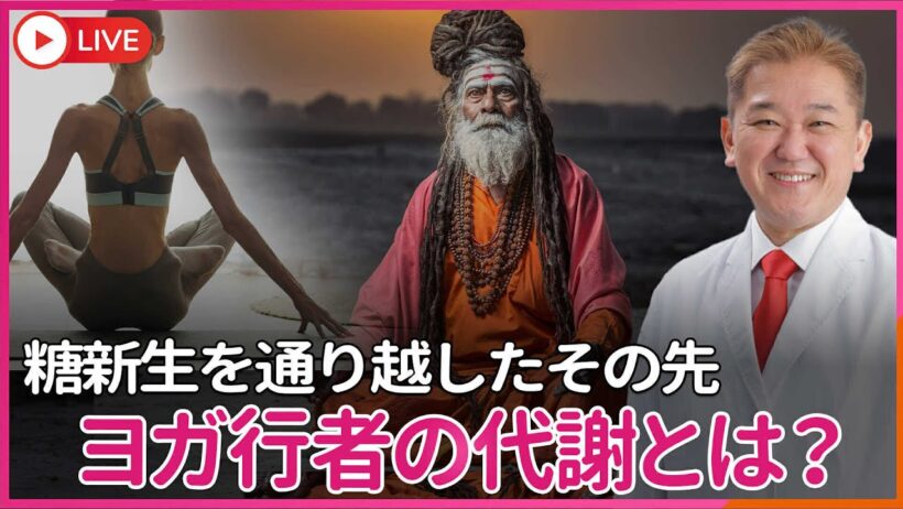 ヨガの行者のように激やせしても生きている人はどの様な代謝になっているのか？　糖新生を通り越したその先とは？