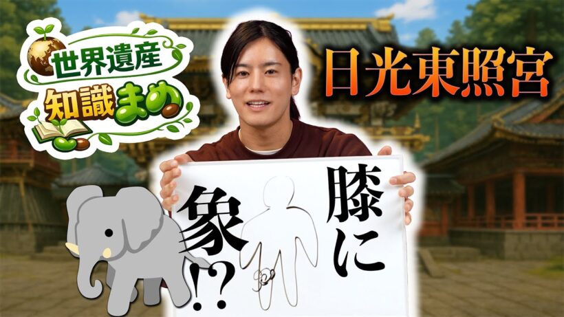 【膝に象!?🐘】世界遺産 知識まめ「日光東照宮」