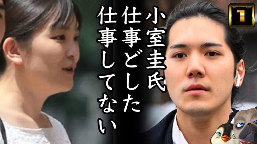 【小室圭氏】仕事どした？本当に仕事してる？