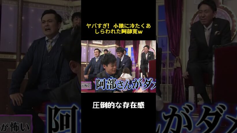 ヤバすぎ！小猿に冷たくあしらわれた阿部寛w #バラエティ #お笑い #芸能人 #阿部寬 #面白い