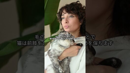 嵐 相葉雅紀が保護猫ケアで湿度を変えた理由｜作業が途切れなかった環境判断