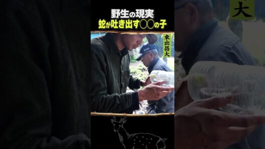 東出昌大 / 野生の現実