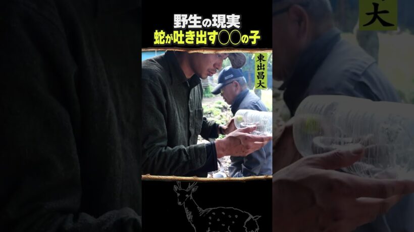 東出昌大 / 野生の現実