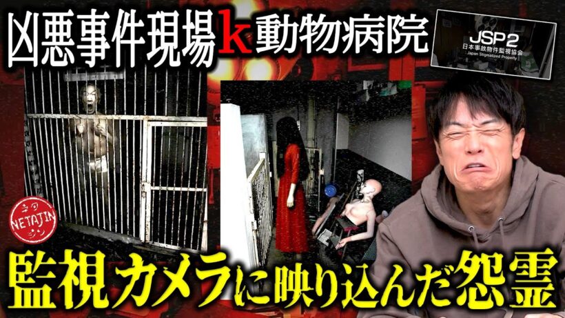 【リアル凶悪事件現場K動物病院で霊障多発!!】ガチの◯人事件現場を監視せよ!!JSP2 日本事故物件監視協会2 -Japan Stigmatized Property-!!