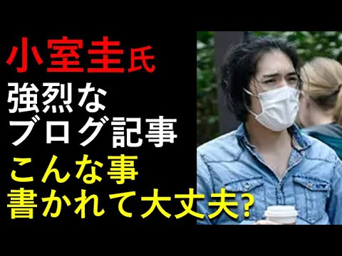 小室圭氏、海外ブログに書かれちゃった！この内容大丈夫？？