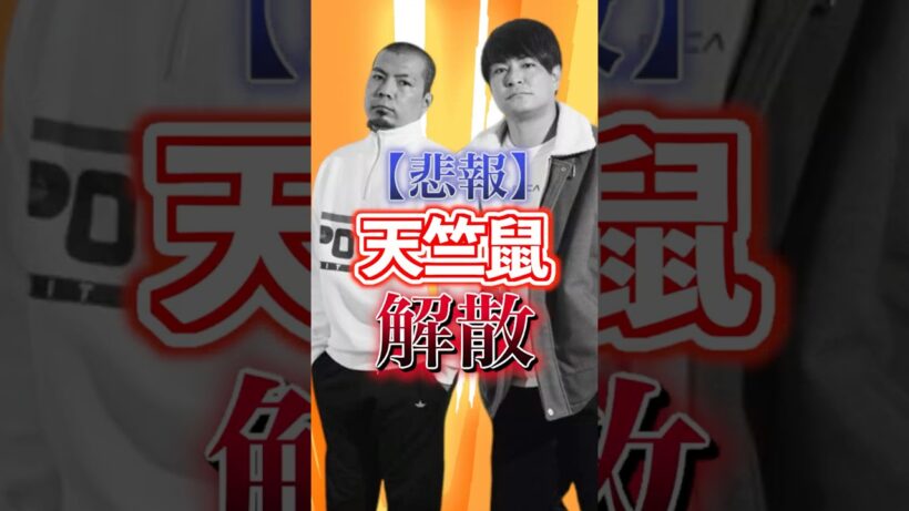 【悲報】天竺鼠、解散#shorts #天竺鼠  #天竺鼠川原 #瀬下 #漫才 #芸人 #お笑い #NEWSクライシス #コント