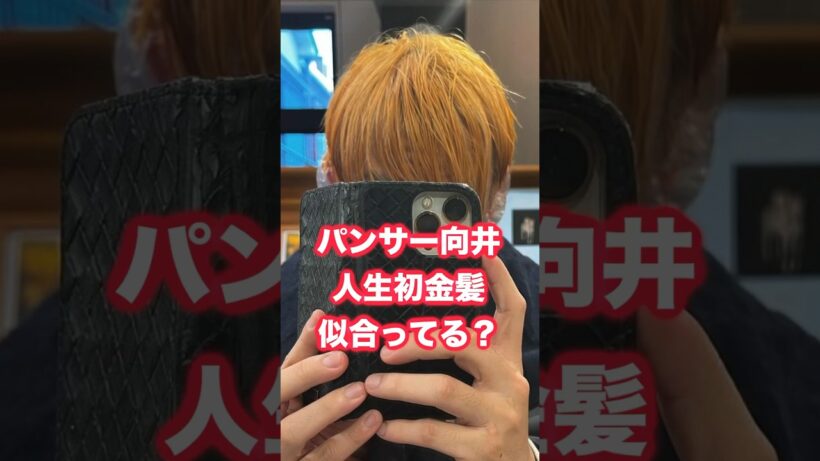 パンサー向井の人生初金髪は似合ってる？ #向井慧 #パンサー #お笑い #お笑い芸人