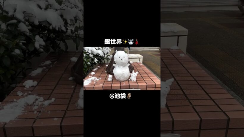 銀世界✨☃️＠池袋 #堂本光一 #堂本剛 #domoto #2026 #kinki #天気 #速報 #雪 #大雪 #池袋 #東京 #ニュース #気象予報士 #2月 #冬
