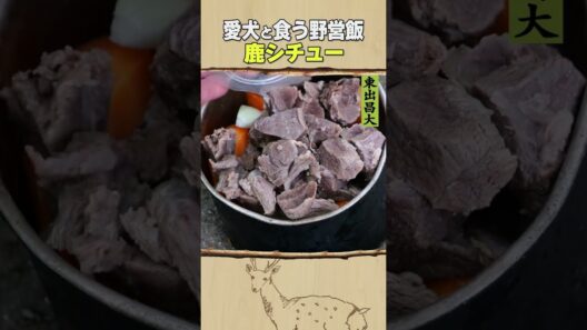 東出昌大 / 野営飯・鹿シチュー