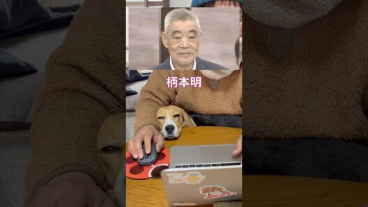 眠すぎて柄本明化するビーグル犬 #ビーグル