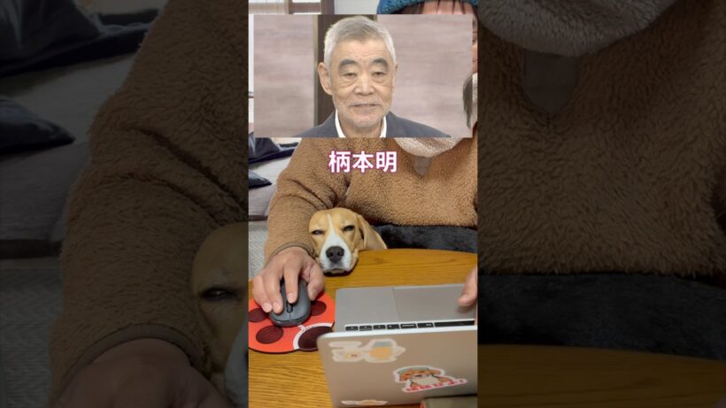 眠すぎて柄本明化するビーグル犬 #ビーグル