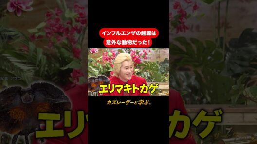 『カズレーザーと学ぶ。』【インフルエンザの起源は意外な動物だった！】毎週火曜よる10時から放送中！#カズレーザーと学ぶ。#カズレーザー#切り抜き#shorts