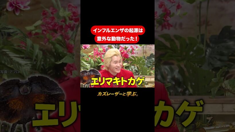 『カズレーザーと学ぶ。』【インフルエンザの起源は意外な動物だった！】毎週火曜よる10時から放送中！#カズレーザーと学ぶ。#カズレーザー#切り抜き#shorts