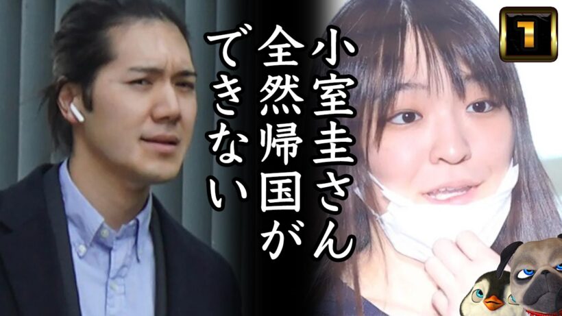 【小室圭さん】全然帰国できない小室さん