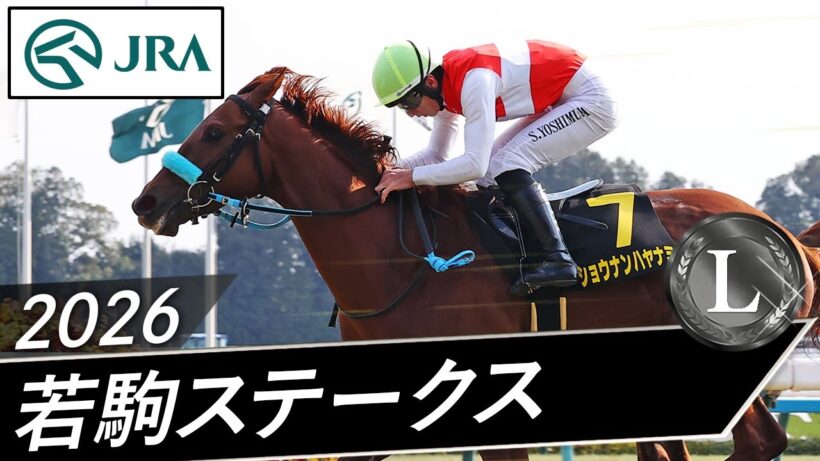 2026年 若駒ステークス（L） | ショウナンハヤナミ | JRA公式