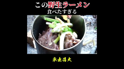 この野生ラーメン食べたすぎる…#東出昌大  #芸能飯 #サバイバル #グルメ好き #shorts