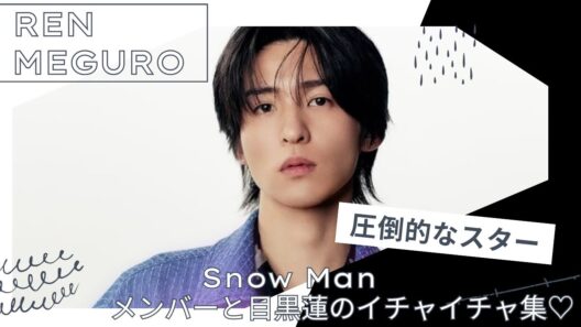 【めめロス解消♡】超絶人気♡SnowMan 目黒蓮だけのイチャイチャ集♡