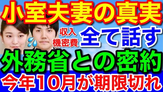 速報！全て暴露★小室夫妻の真実は血税ドロンボー