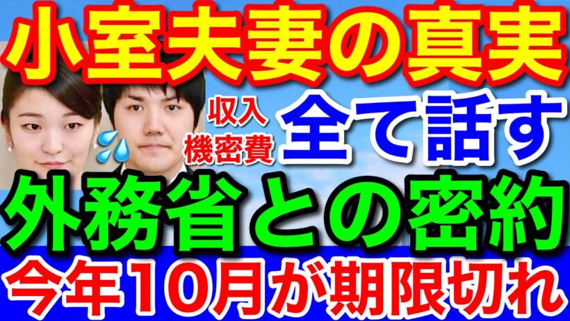 速報！全て暴露★小室夫妻の真実は血税ドロンボー