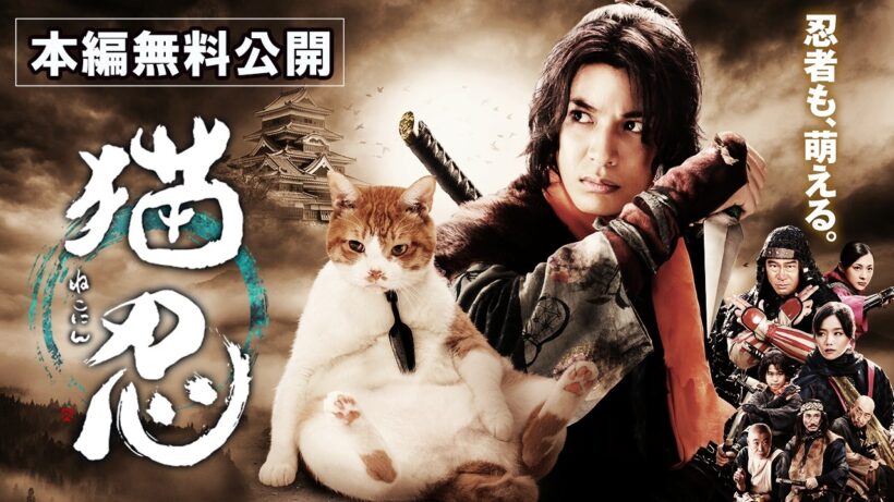 【🎬無料配信中】『映画猫忍』２・２２（にゃんにゃんにゃんの日）特別公開！じらせ忍者とオヤジ猫！仰天コラボで織りなす、笑いと癒しのモフモフ時代劇！💓
