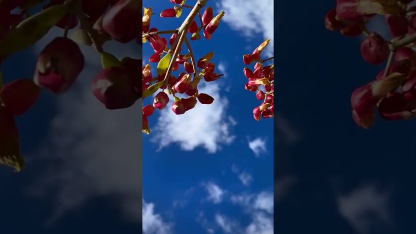 2026年2月26日　三浦春馬さん✨️🐎✨️