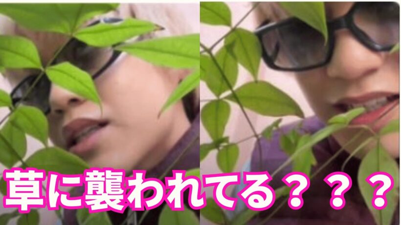 【ENG SUB】King & Prince インスタライブ【2026年2月26日】高橋海人が草に襲われてる？？？