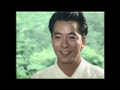浅見光彦ミステリー①「平家伝説殺人事件」(1987)水谷豊、高橋悦史