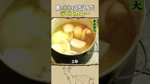 東出昌大 / ジビエカレー