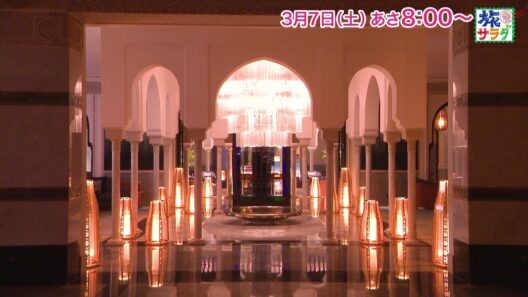 海外の旅はモロッコ！ゲストの旅は矢本悠馬！「旅サラダ」3月7日（土）放送