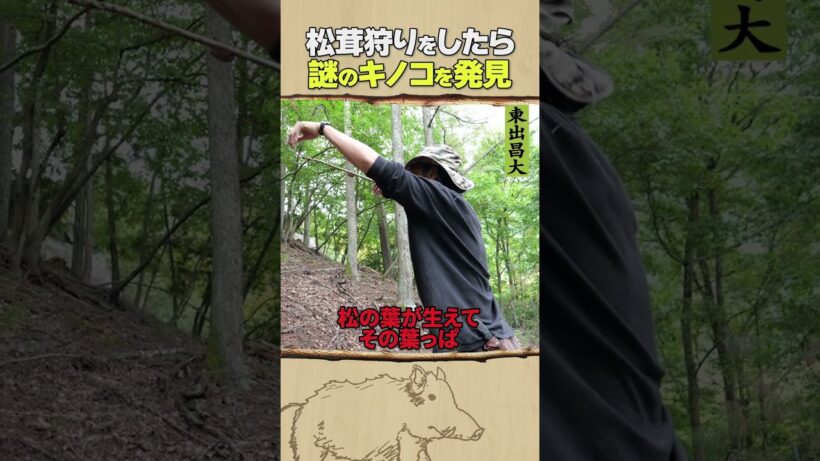 東出昌大 / 松茸狩りをしたら…