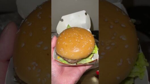 海外のビッグマックがすごかった
