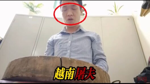 “越南屠夫”详解
