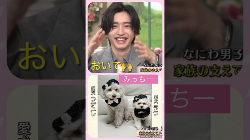 【なにわ男子】🐶愛犬も可愛い💕#みっちー#道枝駿佑