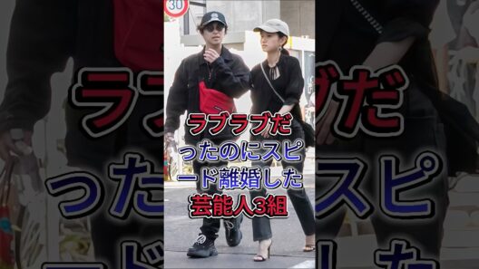 ラブラブだったのにスピード離婚した芸能人3組 #高山一実 #ふくらP #前田敦子 #勝地涼